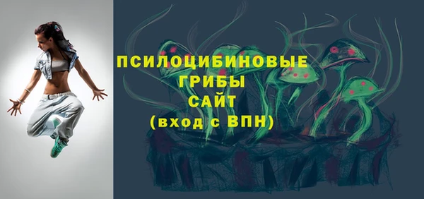 тгк Алексин