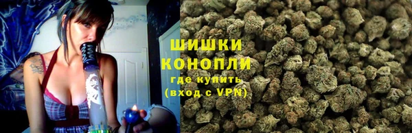 ПСИЛОЦИБИНОВЫЕ ГРИБЫ Валдай