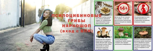 гашик Приозерск