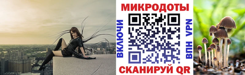 Псилоцибиновые грибы GOLDEN TEACHER  Дальнереченск 